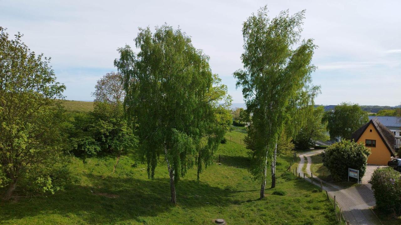 Traumblick Und Komfort - Lichtdurchflutete 85 Qm Wohnung Nahe Suedstrand Goehren Inklusive Schwimmbad Und Sauna Im Ahoi Sellin Eksteriør bilde