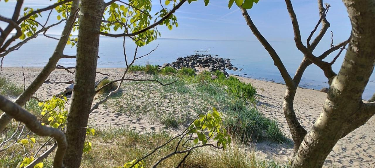 Traumblick Und Komfort - Lichtdurchflutete 85 Qm Wohnung Nahe Suedstrand Goehren Inklusive Schwimmbad Und Sauna Im Ahoi Sellin Eksteriør bilde
